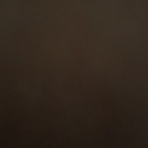 Meet your Posher, Samuel